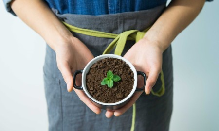 Împrumuturi pentru agribusiness în instituțiile nebancare